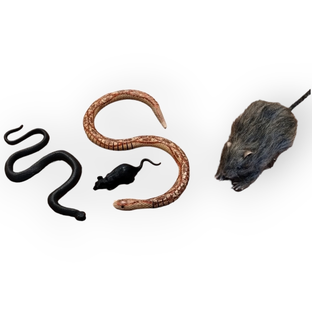 CREEPY‎ PRANK ITEMS